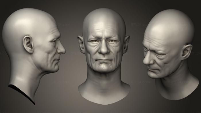 Анатомия скелеты и черепа (Скульптура мужской головы 03, ANTM_1250) 3D модель для ЧПУ станка